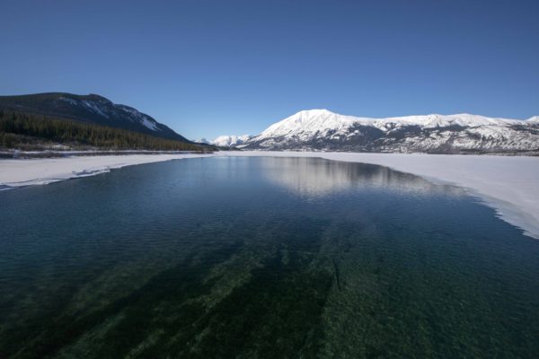 Bennett Lake